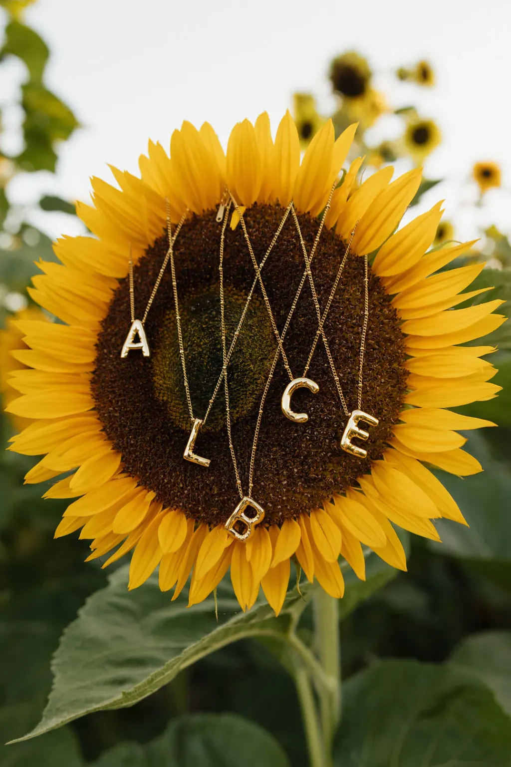 Ali Express Necklaces<Bubble Initial Necklace-Gold