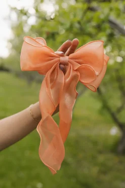 Ali Express Hair<Enchanting Bow