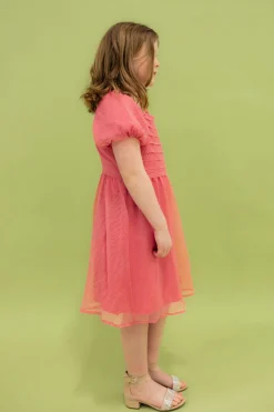Kids Dongguan Huoyoung Apparel Co Dresses|Kids<Little Girl's Chelsie Dress-Pink