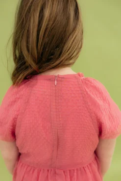 Kids Dongguan Huoyoung Apparel Co Dresses|Kids<Little Girl's Chelsie Dress-Pink